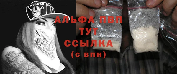 СК Володарск