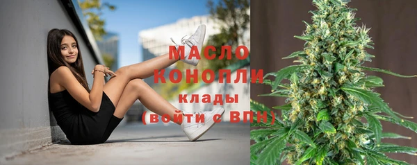 СК Волоколамск