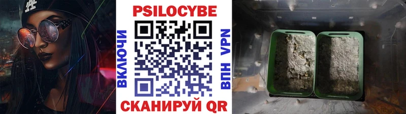 Псилоцибиновые грибы мицелий Орехово-Зуево