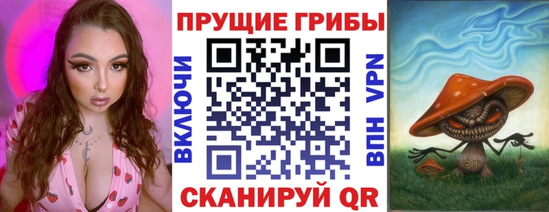 Псилоцибиновые грибы Cubensis даркнет как зайти Орехово-Зуево